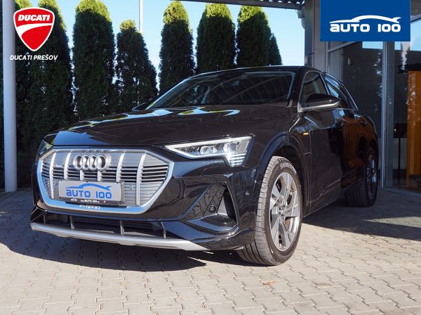 Audi e-tron 50 S-Line 230 kW